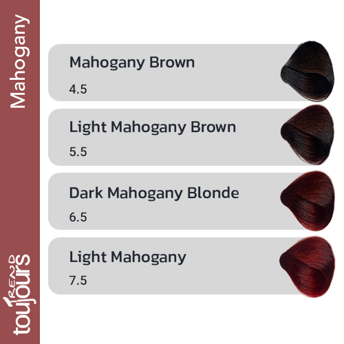 رنگ مو ماهاگونی توژور